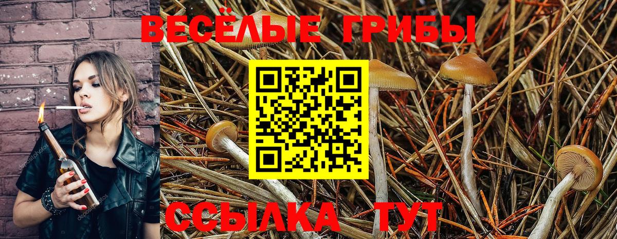 Псилоцибиновые грибы Magic Shrooms  Вход с VPN  Псилоцибиновые грибы MAGIC MUSHROOMS  Тавда 