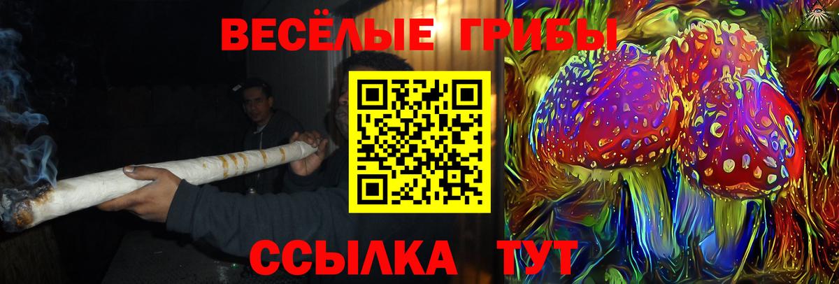 Псилоцибиновые грибы MAGIC MUSHROOMS Тавда